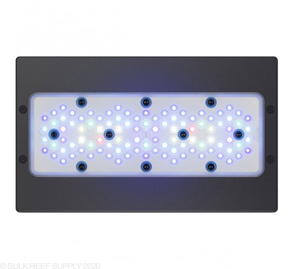 Đèn Led Radion Xr30 G5 Blue cho hồ cá cảnh biển - Ecotech Marine