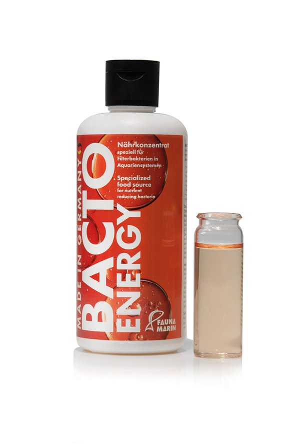 Thức ăn cho vi sinh Bacto Energy 100ml | Fauna Marin