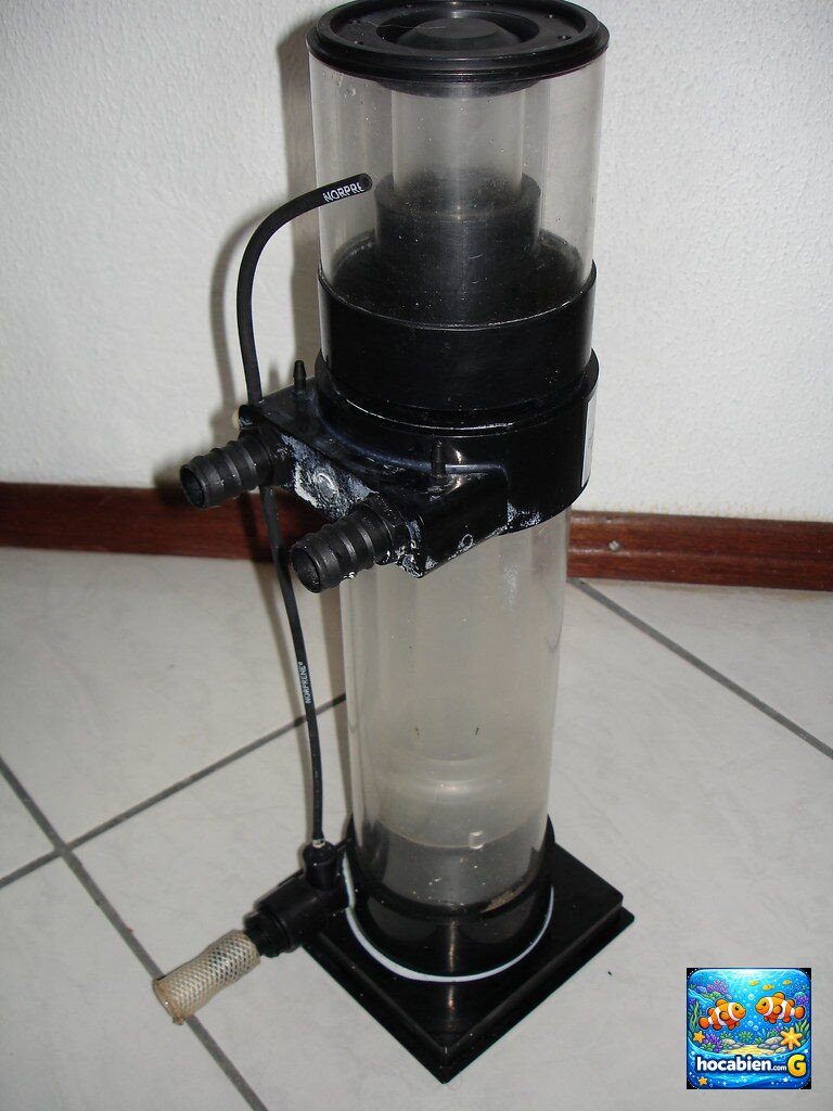 Trọn Bộ Thiết Bị Không Thể Thiếu Khi Chơi Hồ Cá Cảnh Biển -